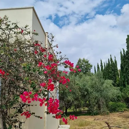 Margouno Eco-villa, Eggares, Naxos בית נופש Engaraí